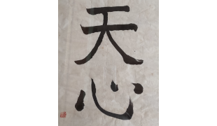 images/Clubes/Tenshin.png